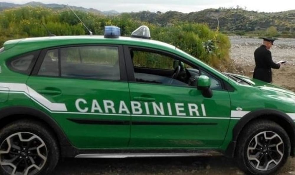carabinieri-forestali