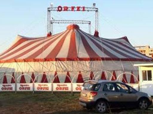 circo orfei