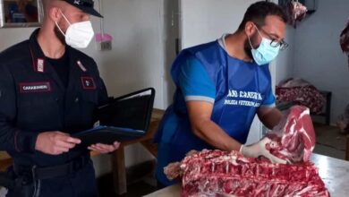 Maxi sequestro di carne in provincia di Caserta. I militari della Stazione Carabinieri Forestale di Castel Volturno hanno denunciato 3 persone