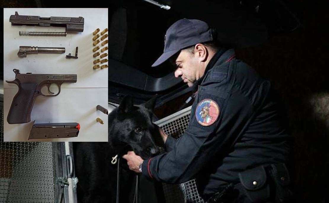 cane poliziotto trova pistola