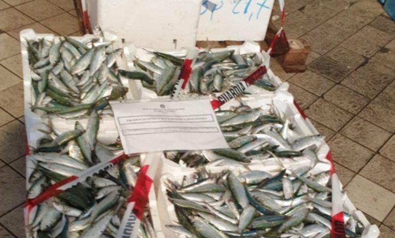 Marcianise sequestrato pesce tracciabilità
